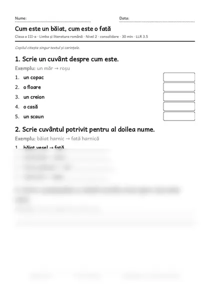 Prima pagină a fișei „Cum este un băiat, cum este o fată”, clasa a III-a, nivelul 2