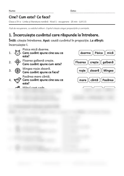 Prima pagină a fișei „Cine? Cum este? Ce face?”, clasa a IV-a, nivelul 1